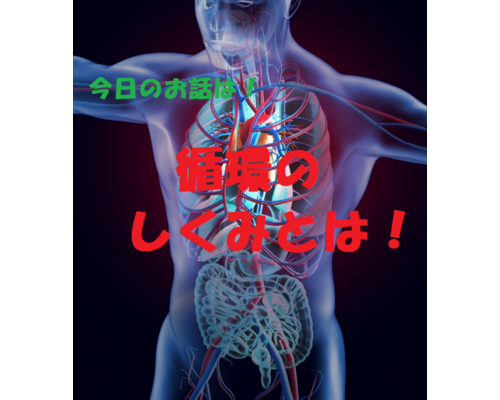 循環