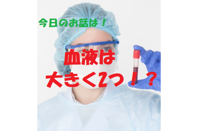 循環