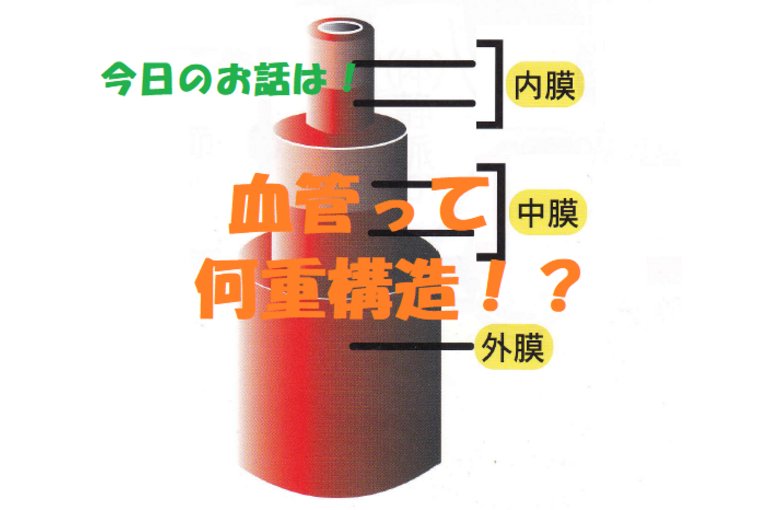 循環