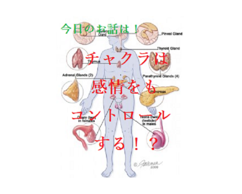 色彩　チャクラ