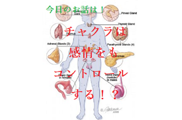 色彩　チャクラ