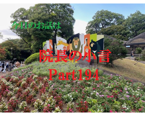 近況報告