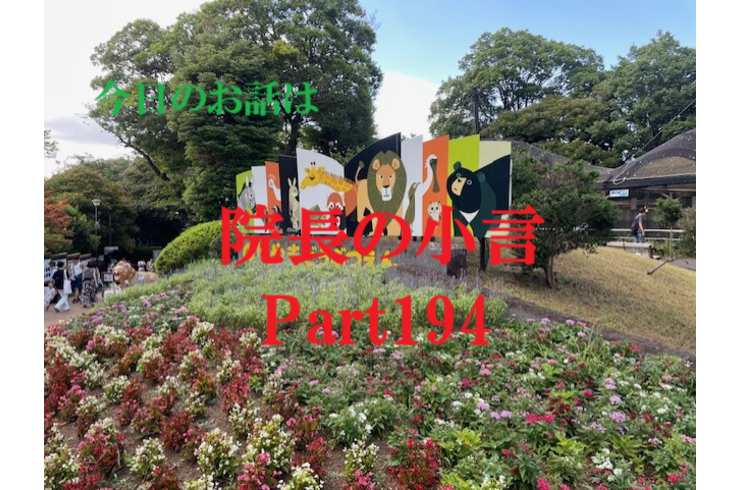 近況報告