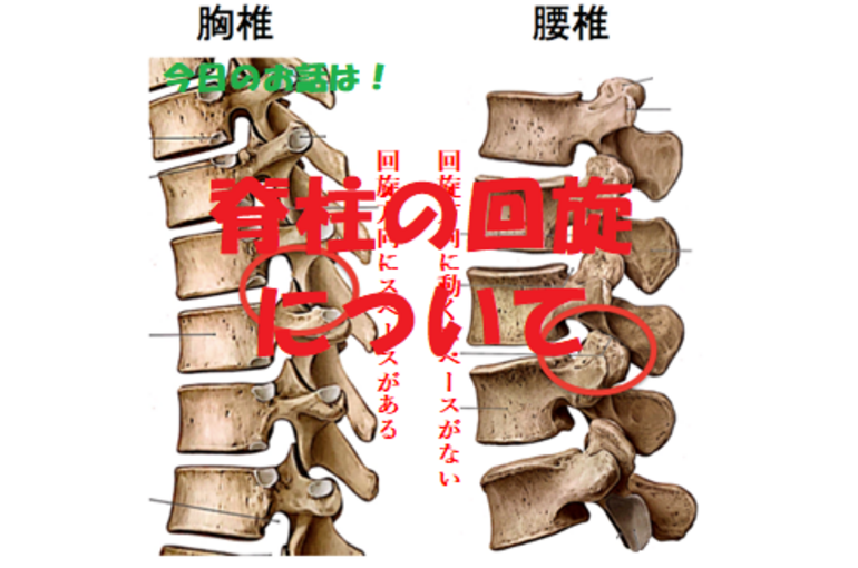 ストレッチ