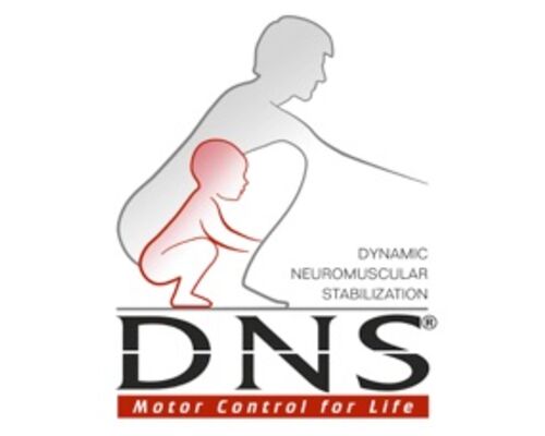 DNS　赤ちゃんトレーニング