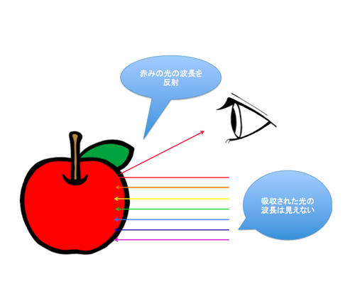 捉え方　見え方