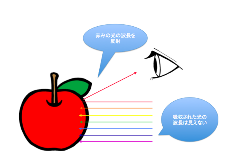 捉え方　見え方