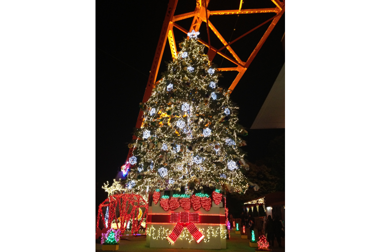 クリスマス　ツリー