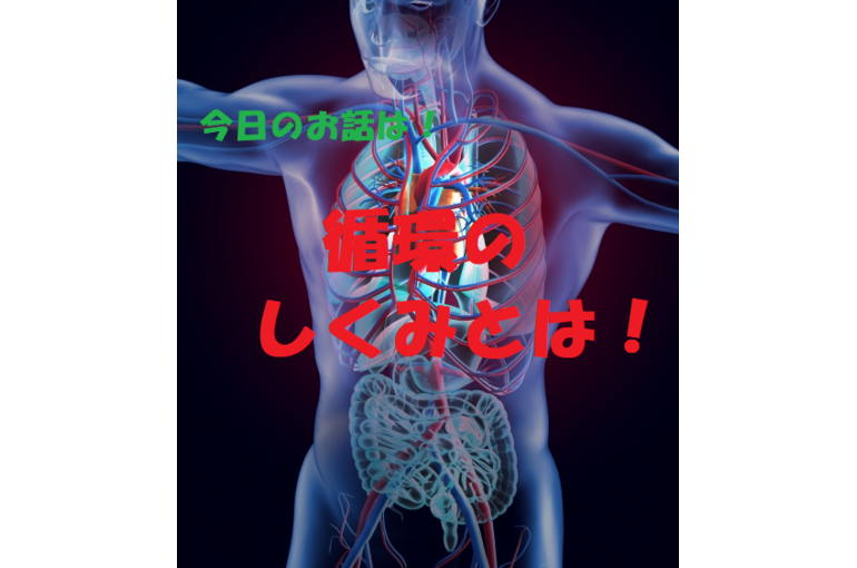 循環