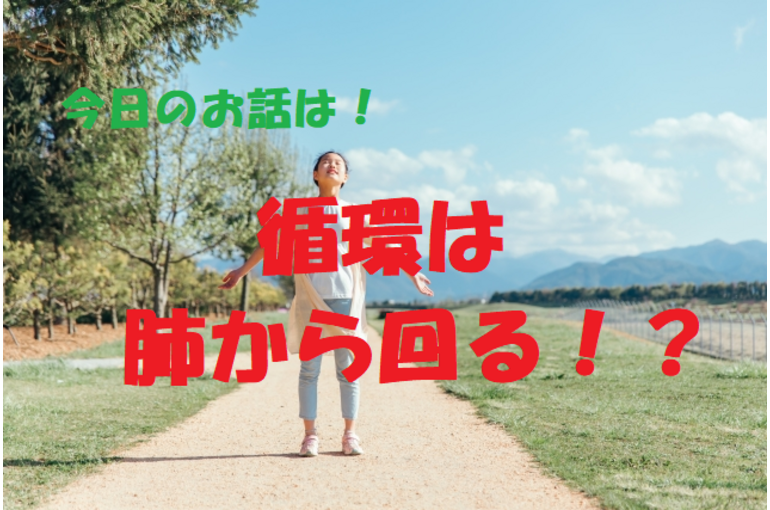 循環