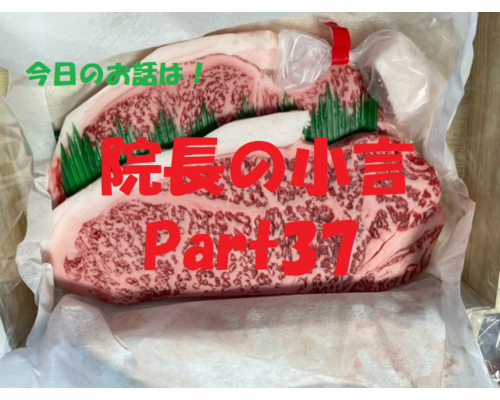 近況報告　お肉