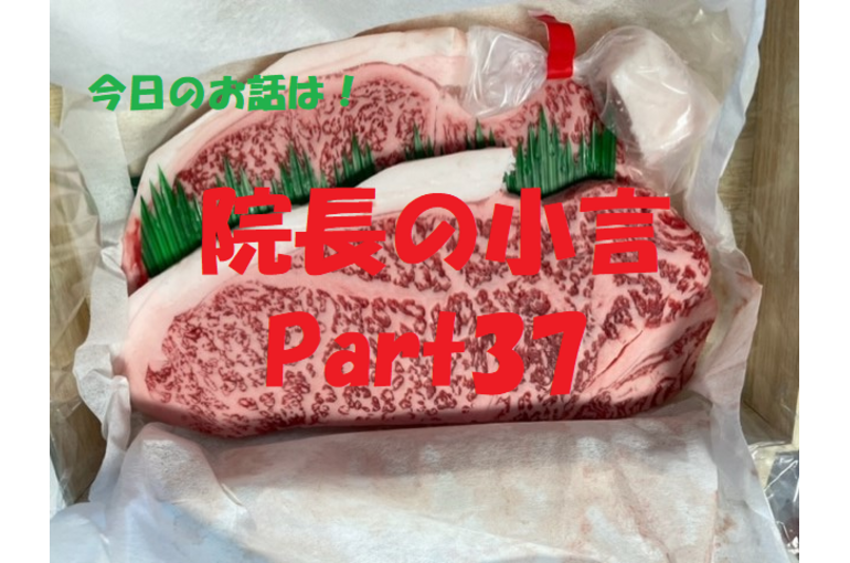 近況報告　お肉