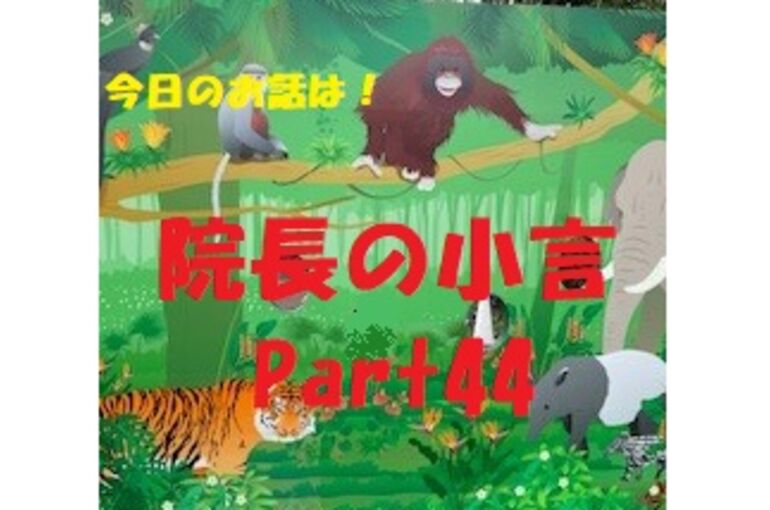 近況報告　動物園
